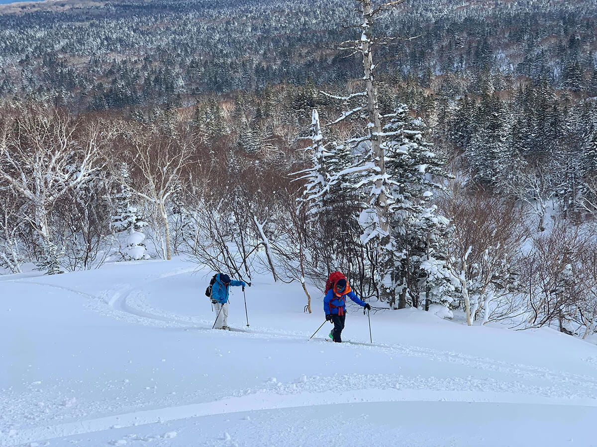 Back country in Mt.Asahi